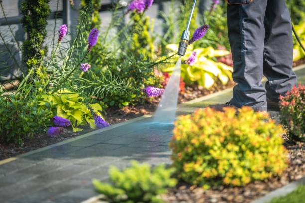Best Driveway Pressure Washing  in Wabasso, FL