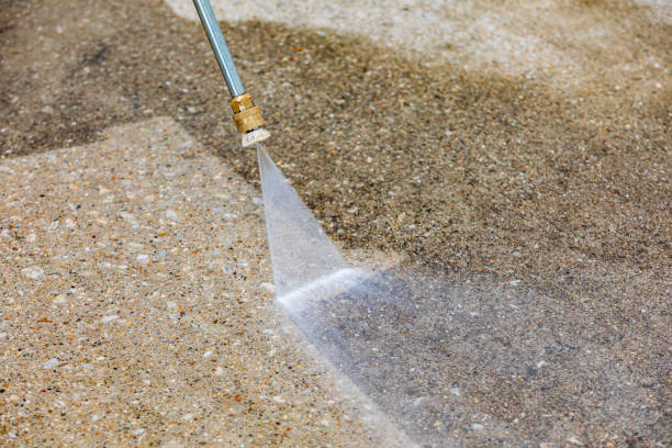 Best Sidewalk and Walkway Cleaning  in Wabasso, FL